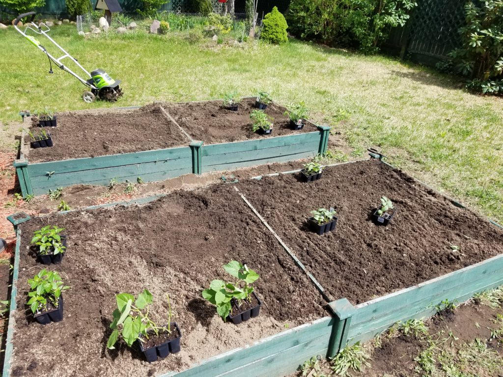 raised garden bed 4 x 8 review